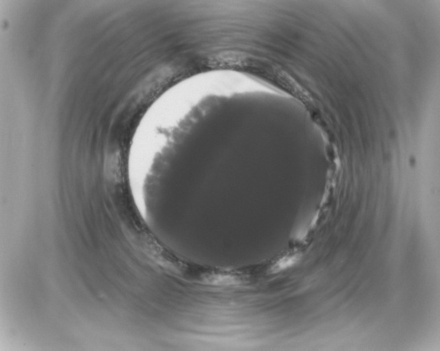 X0000085220224200704091940