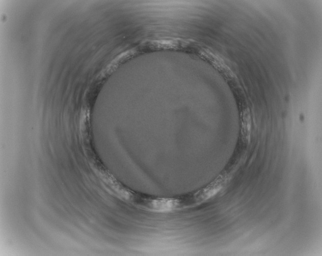 X0000085220225200704091940