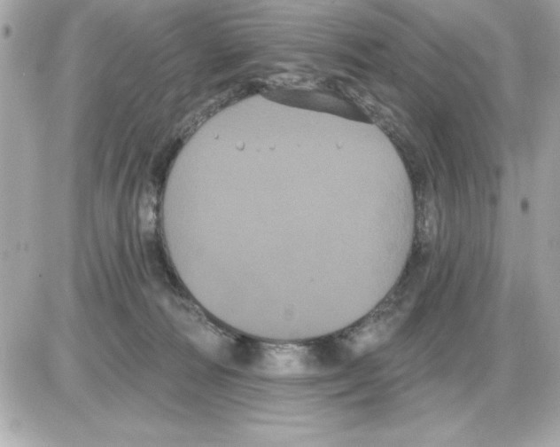 X0000085220226200704091940