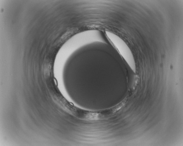 X0000085220227200704091940