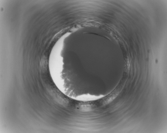 X0000085220228200704091940