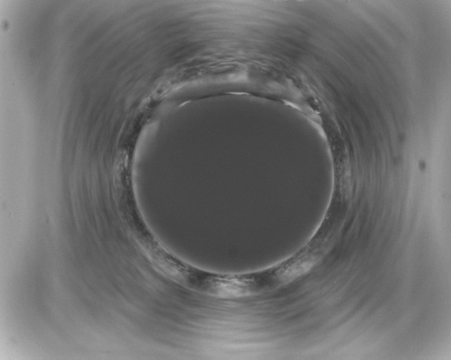 X0000085220229200704091940