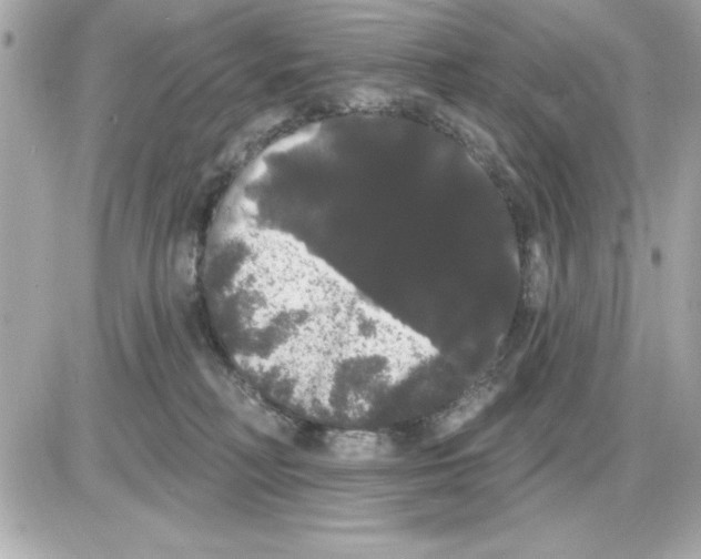 X0000085220230200704091940