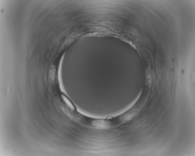 X0000085220231200704091940