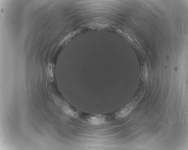 X0000085220232200704091940