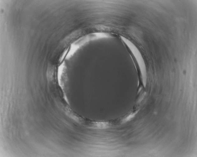 X0000085220233200704091940