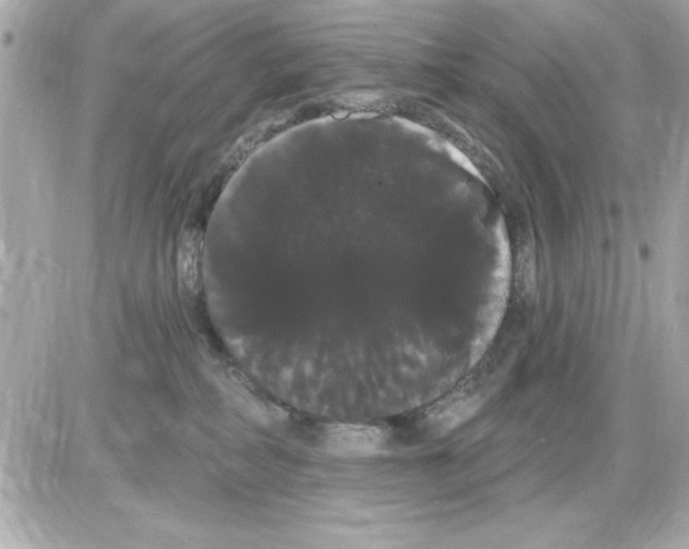 X0000085220234200704091940