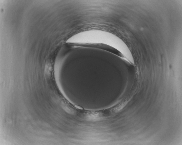 X0000085220235200704091940