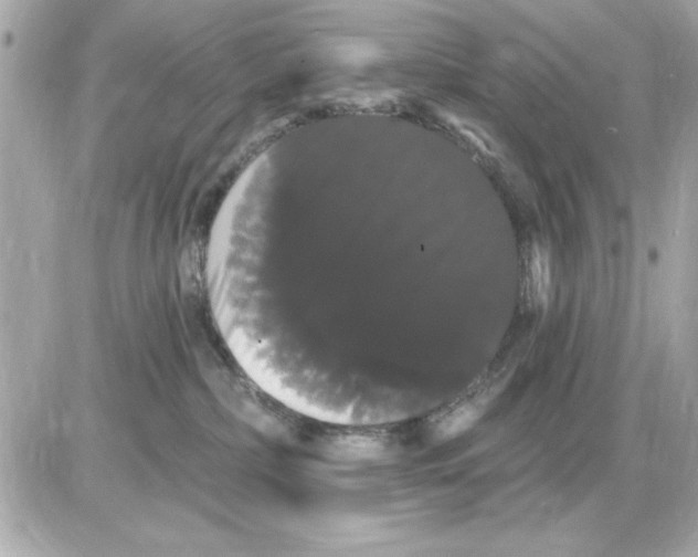 X0000085220236200704091940