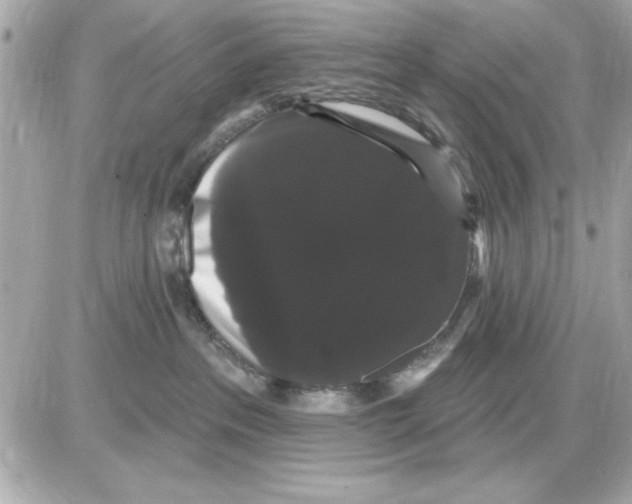 X0000085220237200704091940