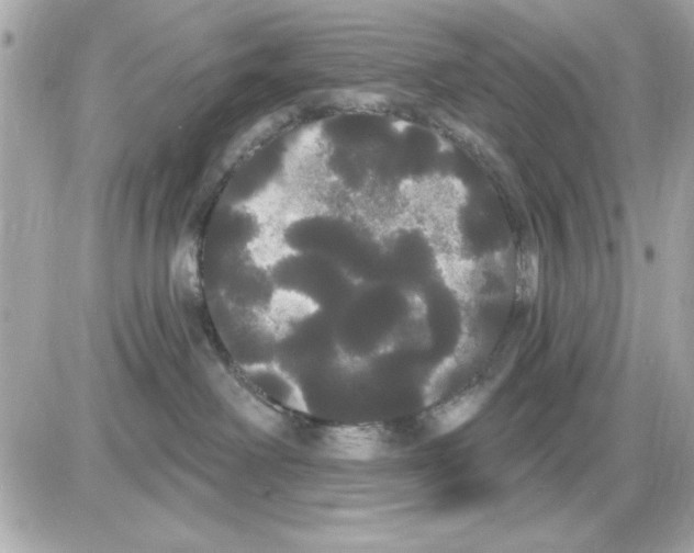 X0000085220238200704091940