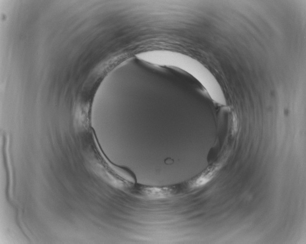 X0000085220239200704091940