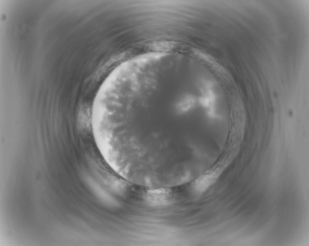 X0000085220240200704091940