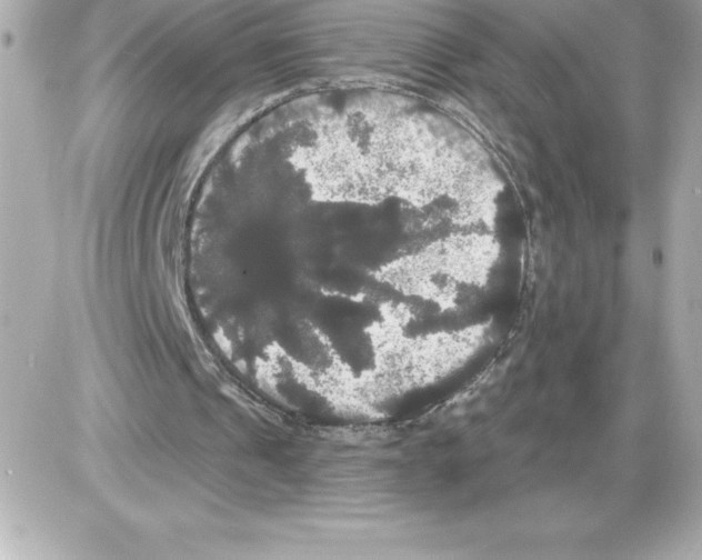 X0000085220241200704091939