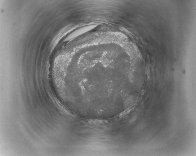 X0000085220242200704091939