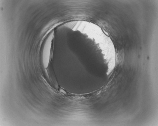 X0000085220243200704091939