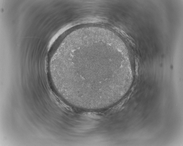 X0000085220244200704091939