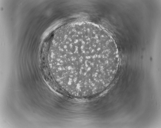 X0000085220245200704091939