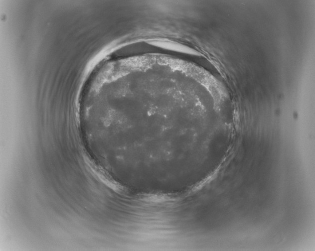 X0000085220246200704091939