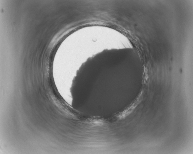 X0000085220247200704091939