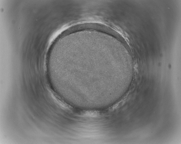 X0000085220248200704091939