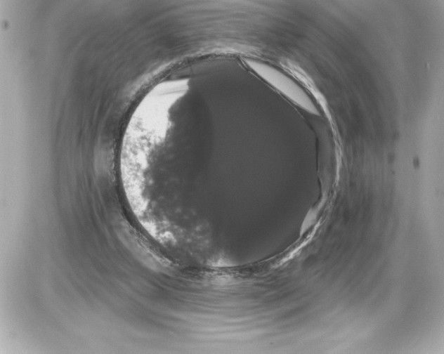 X0000085220249200704091939