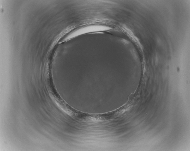 X0000085220250200704091939