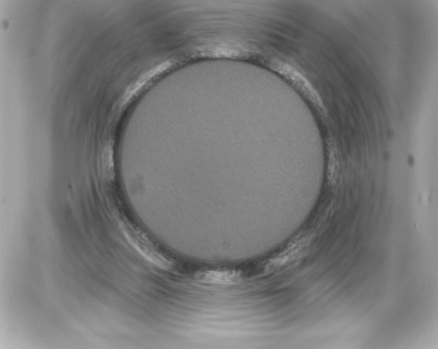 X0000085220251200704091939