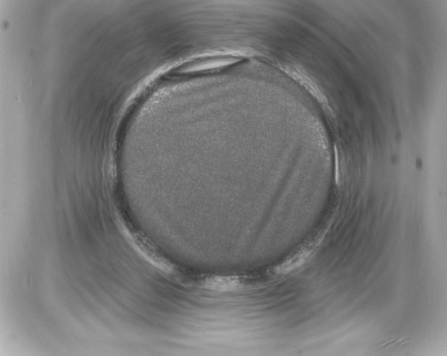 X0000085220252200704091939