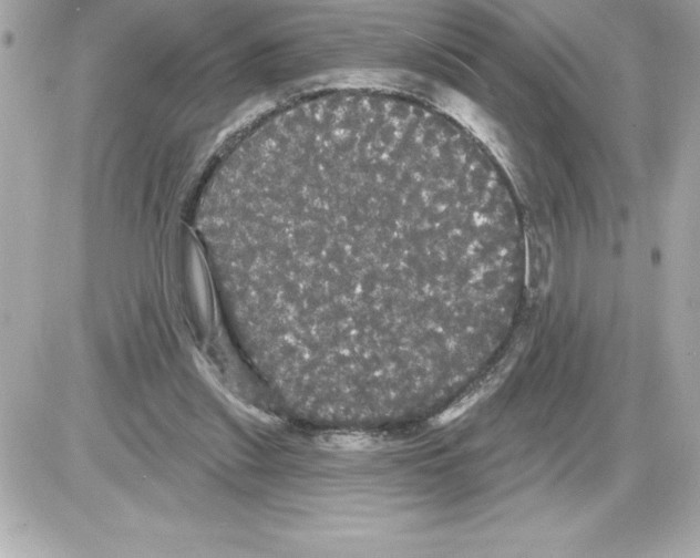 X0000085220253200704091939