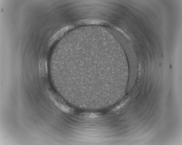 X0000085220254200704091939