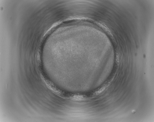 X0000085220256200704091939