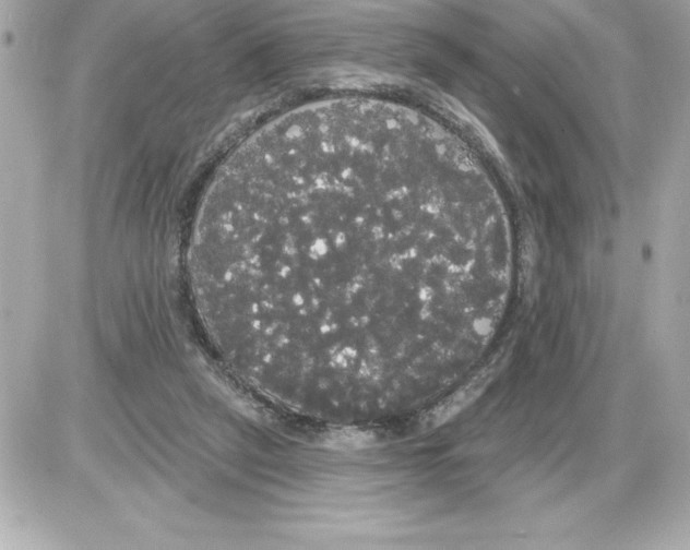 X0000085220257200704091939