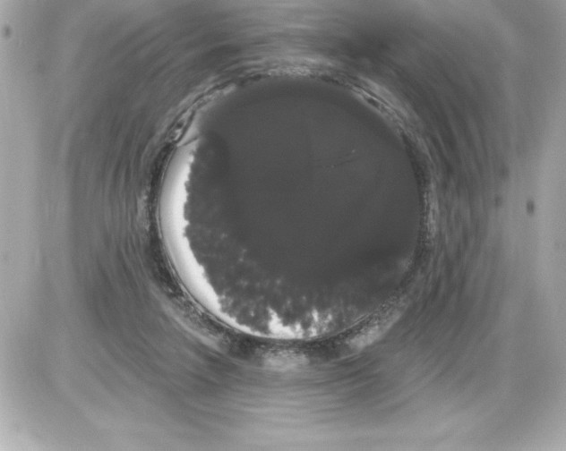 X0000085220258200704091939