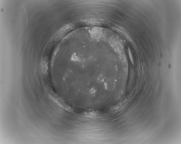 X0000085220259200704091939