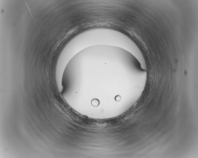 X0000085220260200704091939