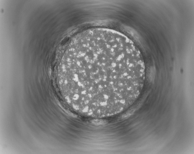 X0000085220261200704091939