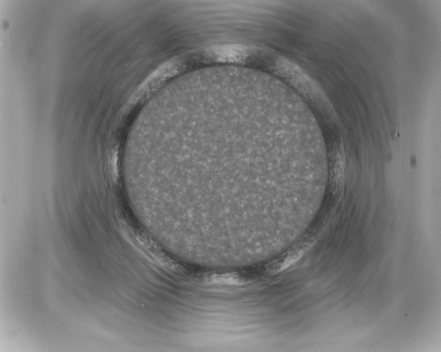 X0000085220262200704091939