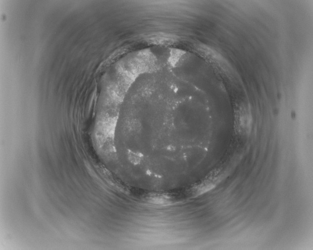 X0000085220263200704091939