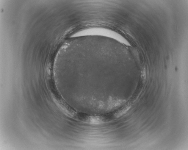 X0000085220264200704091939