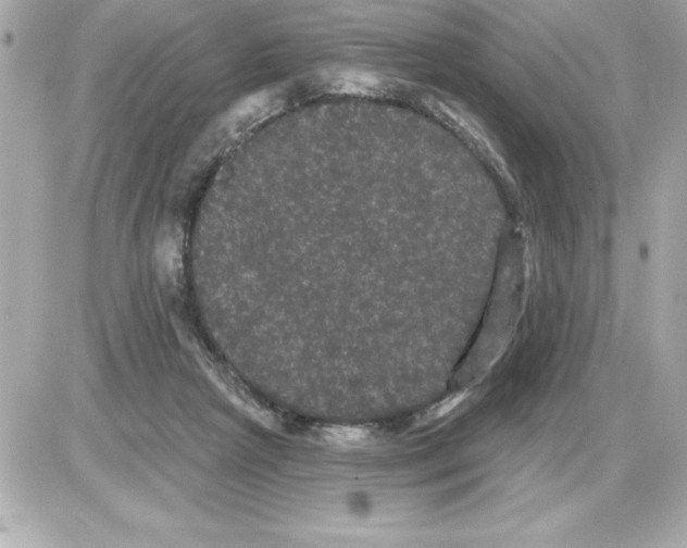 X0000085220265200704091939