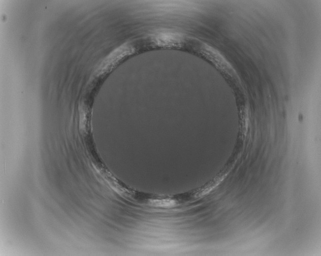 X0000085220266200704091939