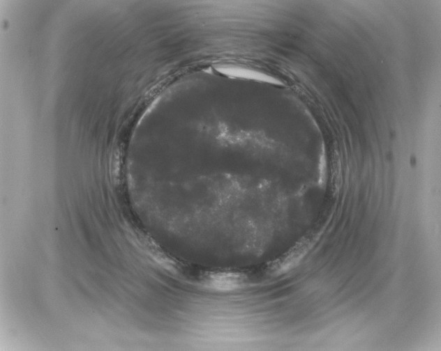 X0000085220268200704091939