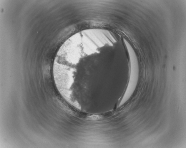 X0000085220269200704091939