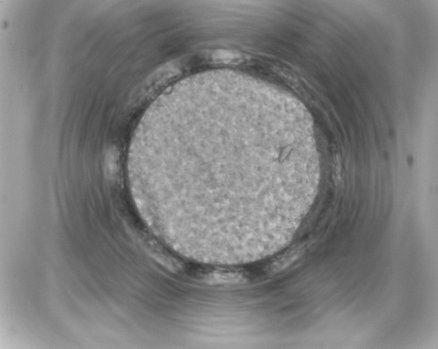 X0000085220270200704091939