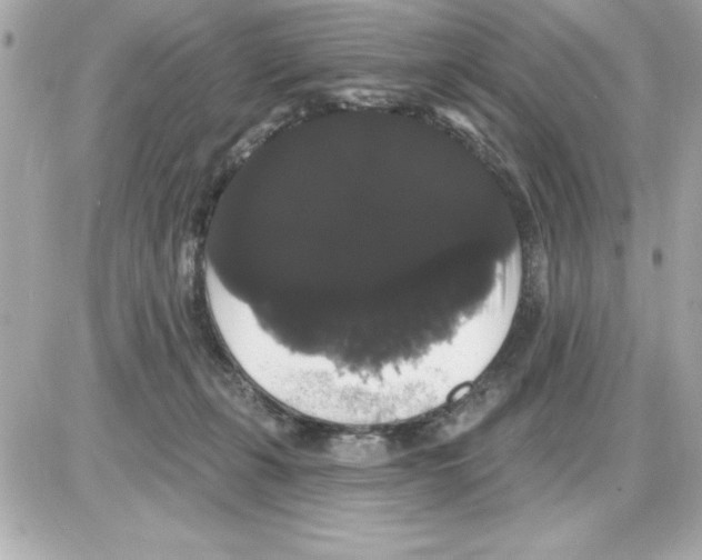 X0000085220271200704091939