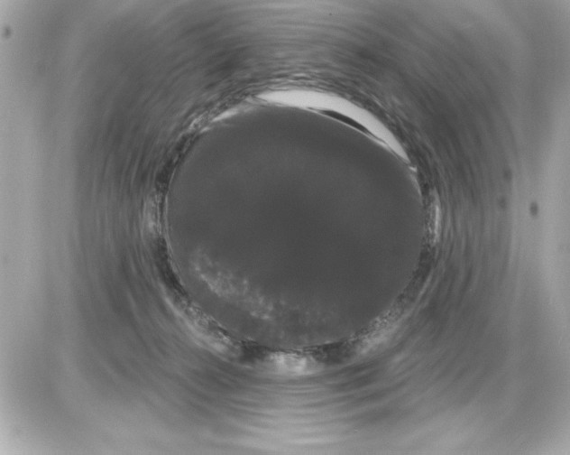 X0000085220272200704091939