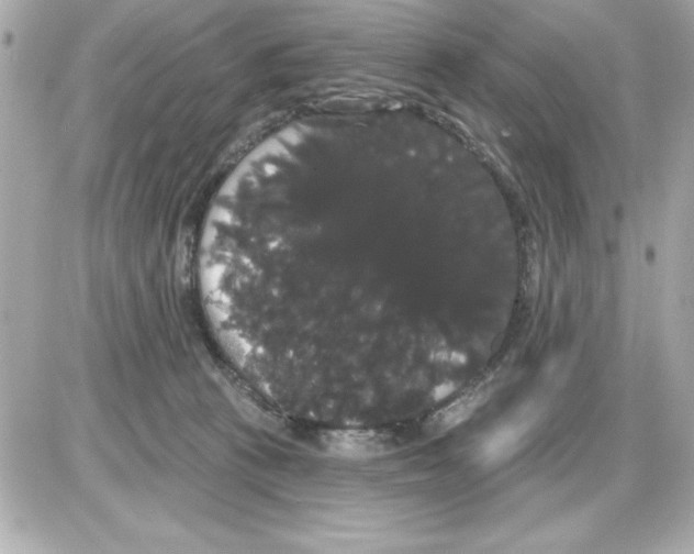 X0000085220273200704091939