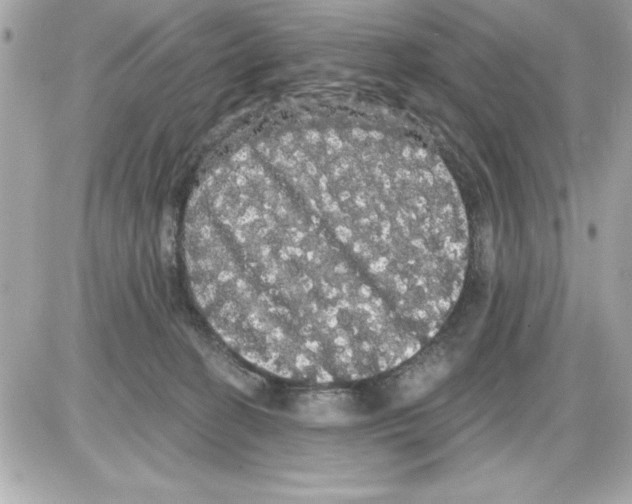 X0000085220274200704091939