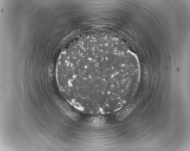 X0000085220275200704091939